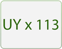 UY X 113