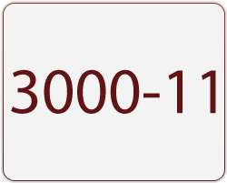3000-11