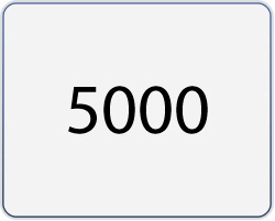 5000