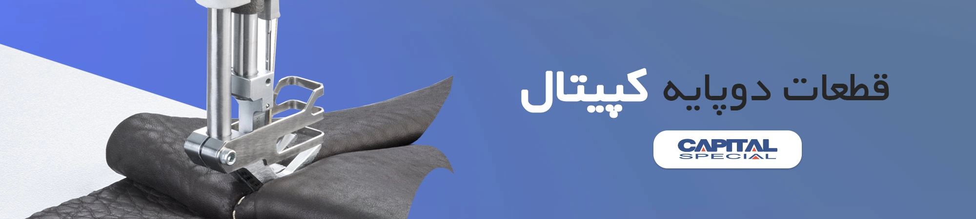 دوپایه کاپیتال