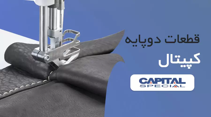دوپایه کاپیتال
