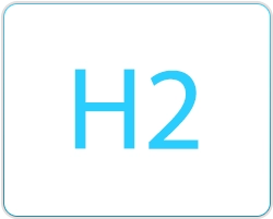 H2