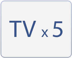 schmetz-TVx5