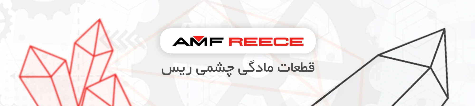 قطعات مادگی چشمی ریس