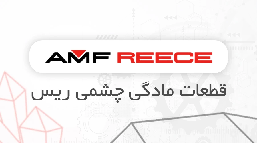 قطعات مادگی چشمی ریس